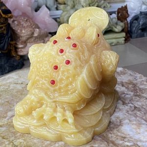 Thiềm Thừ Ngọc Hoàng Long