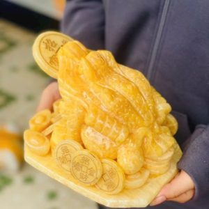 Thiềm Thừ Ngọc Hoàng Long