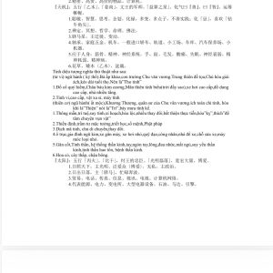 Alternative view of Phi Tinh Tử Vi Đẩu Số