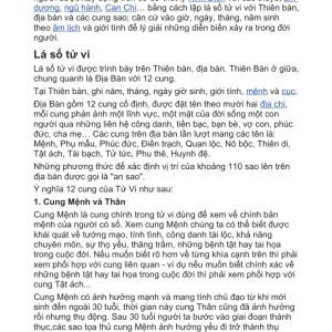 Sơ Lược Về 12 Cung Trong Tử Vi Đẩu Số