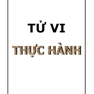 Tử Vi Thực Hành