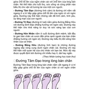 Alternative view of Xem Tướng Bàn Chân