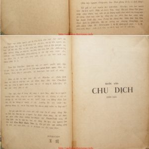 Alternative view of Chu Dịch
